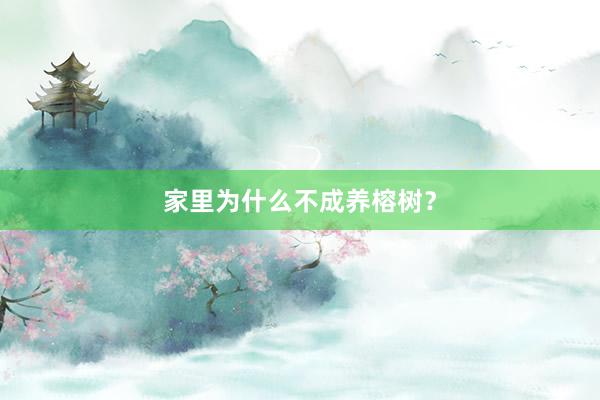 家里为什么不成养榕树?