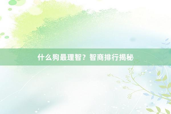 什么狗最理智？智商排行揭秘