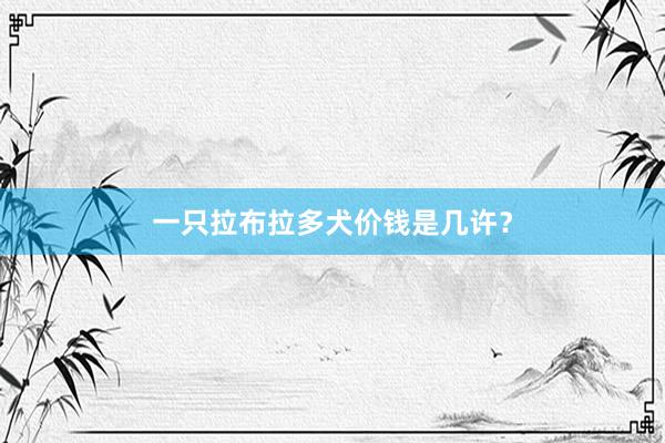 一只拉布拉多犬价钱是几许？
