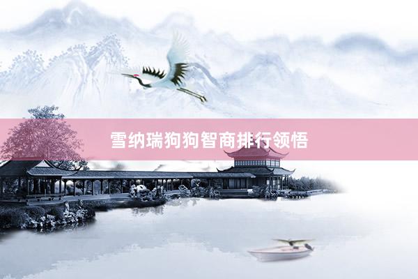 雪纳瑞狗狗智商排行领悟